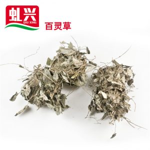 NG视讯(中国区)官方网站